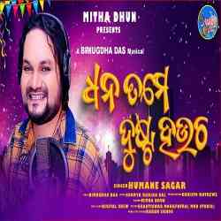 Dhana Tame Dusta Haucha